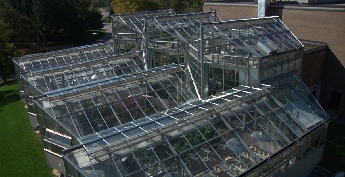 Stacks Image 88